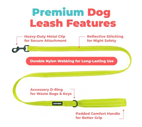 Image of Best Pet Supplies Voyager Reflective Dog Leash or Collar with Neoprene Handle, for Small, Medium, and Large Breed Puppies, Cute and Heavy Duty for Walking, Running and Training - Lime Green (Leash), L