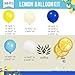 Lemon Balloon Arch Kit Royal Blue Yellow White Balloon Garland Kit for Bridal Showers Baby Showers Birthday Parties Photo Backdrop Decor
