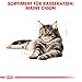 ROYAL CANIN Maine Coon Adult | Doppelpack | 2 x 400 g | Trockenfutter für Katzen | Angepasst auf den Bedarf von Maine Coon Katzen | Zur Unterstützung der Gelenke und Knochen