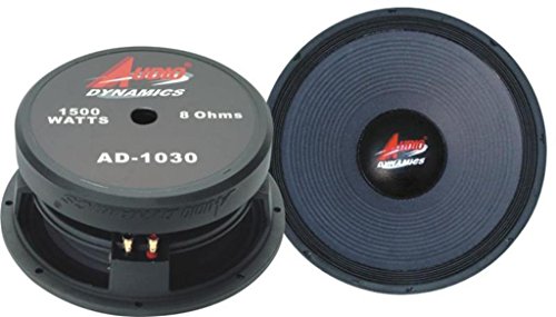 10 pa subwoofer