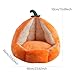 Bothyi Cat House PP Cottons Orange Pet Bed for Winter Convenient Multi Purpose Removable Cushion Gifts Comfort Cat Shelter Supplies, XL