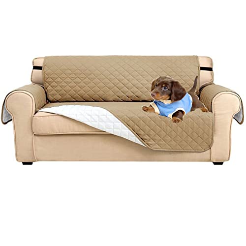 Housse de canapé 3 places pour chiens et chats dans un salon propre