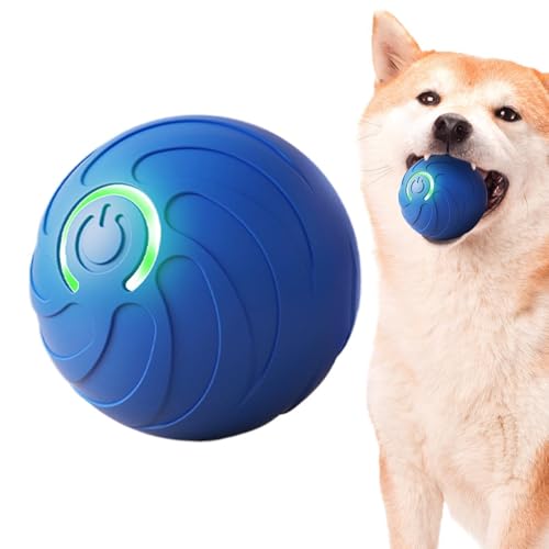 CeWFg C^NeBu ybg  {[Ad[O ybg  {[,C^NeBu L̂{[][d | qL̐SIѐg̓I^̂߂̃CgtL̂Ꭹ[O{[