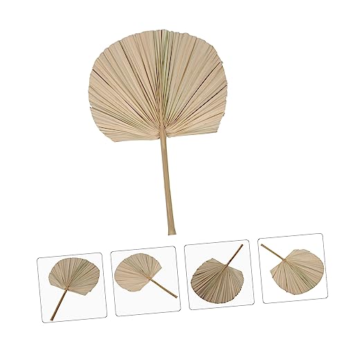 Hoja de Palma Seca Decorativa para Bodas y Eventos miniatura 4