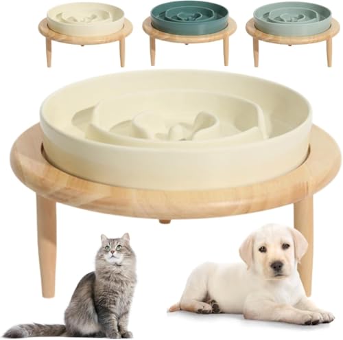 BLINGOODHh~H팢˂ʃGTtaꓩXΐHׂ₷^HsTCY^HݎMU΂ɂ t[h{E䟭M^aMX^ht~ߌюM΂ߓ|ȂHh~M􂢂₷WΉ􂢂₷ (