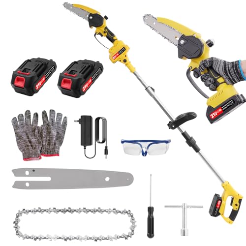 Teodute Électrique Coupe Branche Telescopique, 2-in-1 Scie D'élagage, 2 X 2000mAH, Scie à Élaguer Télescopique pour Tailler Les Paumes et Arbustes