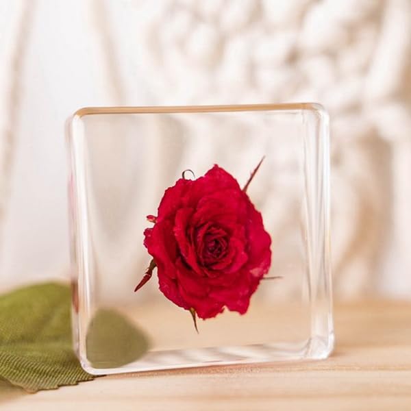 Image of 12pcs Nature Plant Flowers Specimen in Resin Preserved, Science Educational Classroom Specimens, Clear Crystal for Closer-Look & Study. Novelty Crafts Decor Ornament, Amazing Gift (1.5x1.5x0.55-inch)