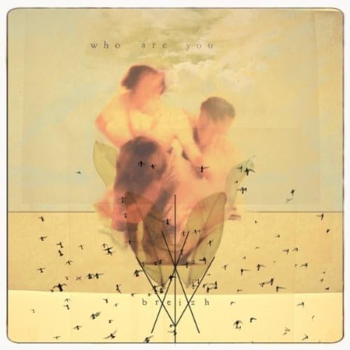 Breizh [Audio CD] Who Are You
