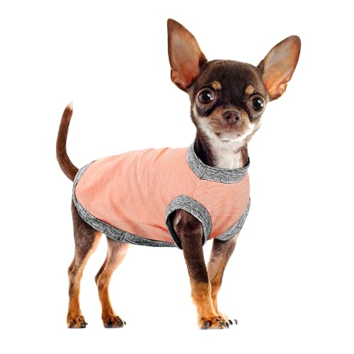 Chic Ion Polyester Dog Vest:AA^p̈炵t@bVAp - zA\tgAÓdCh~AϋvAꂪȒPȃVc - IW 2XL