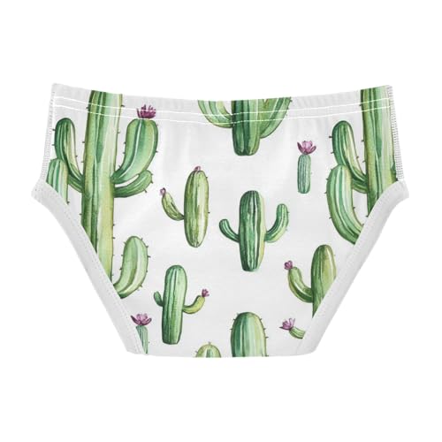 Wusikd Cactus Boys' Underwear Cotton White Boys Briefs Soft Toddler Underwear 2T2