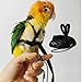 Adjustable Bird Harness with 78.7 Inch Leash, Outdoor Flying Training Rope Kit for Bird Parrots, Parrot Flying Rope Straps Outdoor Training Traction Rope for Small Medium Large Size Birds (XS)