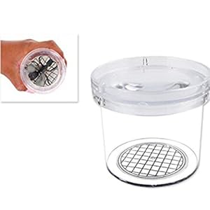 Botreelife Magnifying Bug Insect Viewer Box Transparent Optical Ant Spider Jar for Children Educational Toy