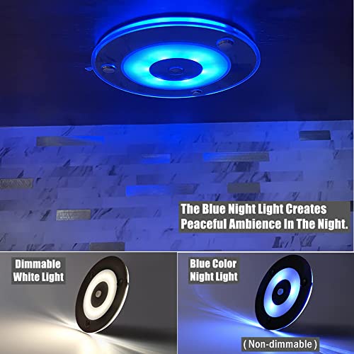 Acegoo Rv Boat Led Ceiling Dome Light, 12V Dimmable Acrylic Puck Light With Press Switch & Blue Night Light, 4 Inches Dc12-24V 270 Lumen Surface Mount Black Finish #TOP3