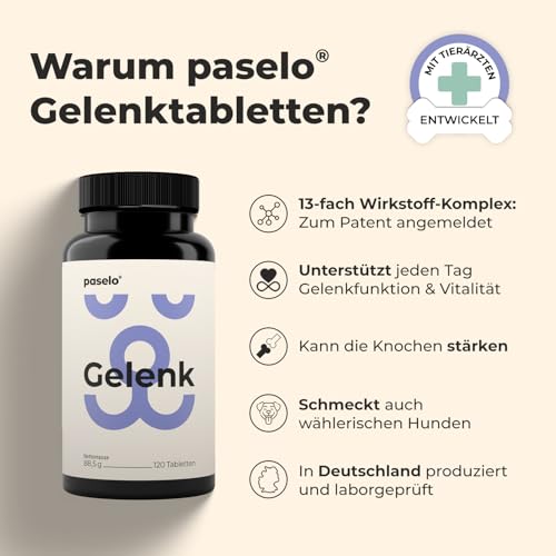 Gelenktabletten für Hunde – 120 Tabletten – 13-Fach Wirkstoffkomplex mit Grünlippmuschel & MSM – entwickelt mit Tierärzten, laborgeprüft, zum Patent angemeldet, Made in Germany – Einführungspreis