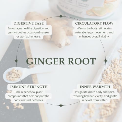 image for Elanen Naturals Organic Dried Ginger Root 1 lb. (16 oz.), USDA Certifi