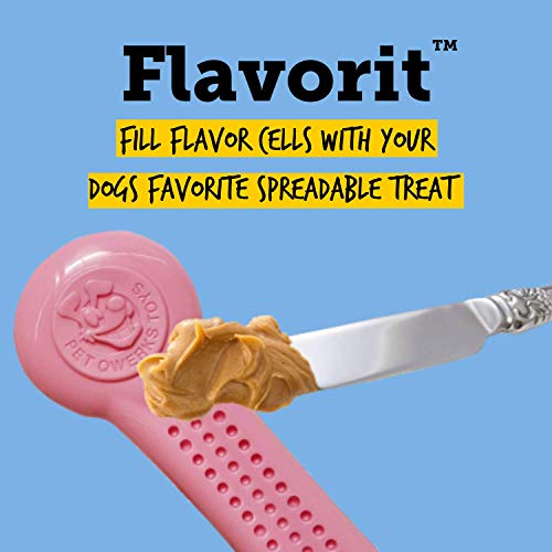Pet Qwerks Flavorit Nylon Chew Barkbone - Fillable Dog Bone For Moderate Chewers - Chicken Flavor - Large #TOP6