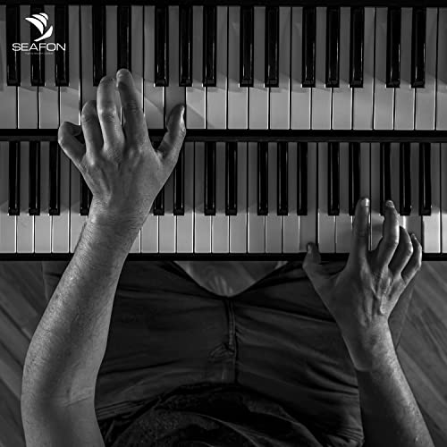 Teclados Y Pianos, Musical Instruments Imagen adicional