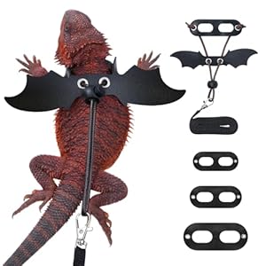 Bearded Dragon Harness and Leash Set, Adjustable Harness Soft Leather-3 Sizes (S, M, L) with Black Wing, Upgrade Lizard Reptile Leash Harness for Bearded Dragon,Lizard, Iguana or Gecko