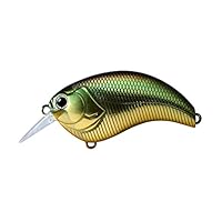 deps イヴォーク1.2 9個セット EVOKE | deps OFFICIAL HP | デプス 公式HP