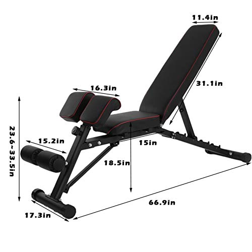 Adjustable Strength Training Bench, Weight Bench, Extension Bench for Multi-Position Workout (Black)