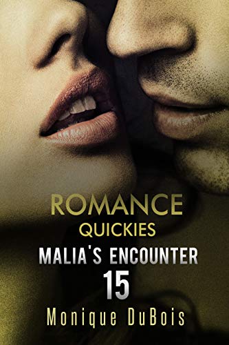 Romance Quickies: Malia's Encounter - 15