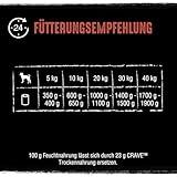 Crave Adult Hundenassfutter Pastete mit Lachs & Truthahn, 6 Dosen, 6x400g – Premium Hundefutter nass mit hohem Proteingehalt und ohne Getreide, hergestellt mit 100 Prozent natürlichem Lachs & Truthahn