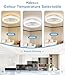 Nalezuns Deckenventilator mit Beleuchtung, 40cm LED Dimmbar Deckenbeleuchtung, App und Fernbedienung, Esszimmer lampe mit ventilator, 6-Gang, Timer, leise, Weiß