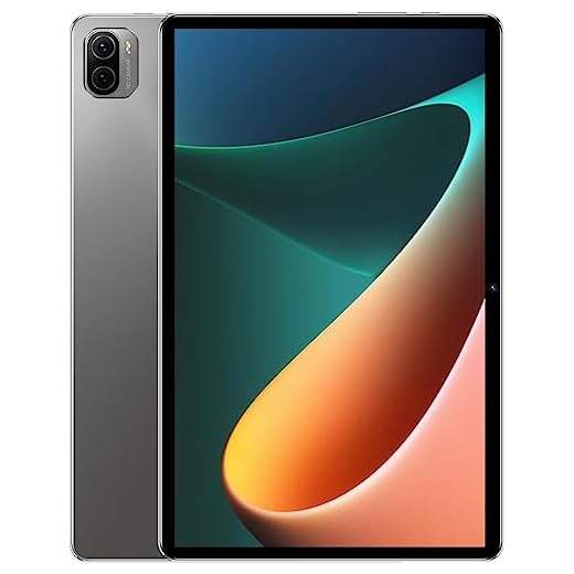 Tablet Pad5 Pro, 256GB, 8GB RAM, Tela Imersiva de 10.1‘’, Câmera Traseira 32MP, Câmera frontal de 16MP, Wifi, Android 13 (Cinza)
