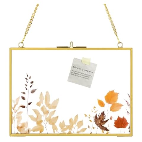 5x7 Gold Floating Frames for Pressed Flower, Double Glass Hanging Frame for Dried Flowers, Brass Picture Frame with Metal Chain for Wall Mount, Small Horizontal Clear Frame for Artwork Display, Home Decor Cover
