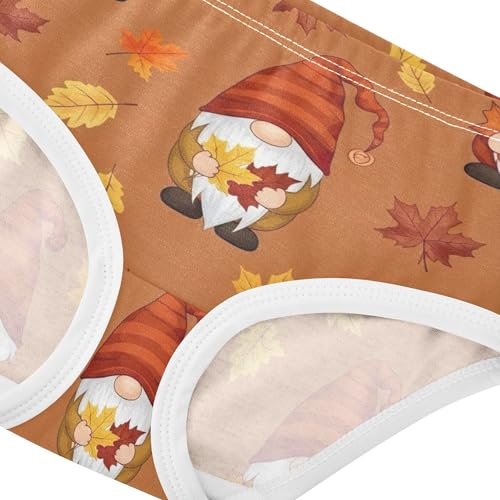 Cute Autumn Gnomes Pumpkins Panties for Girl Toddlers Underwear Floral Cotton Personalized Undies Kids Briefs 2t4