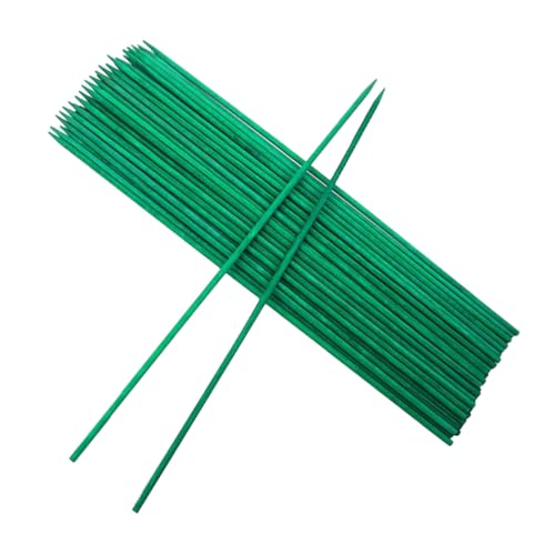 HANABASS 40 K[fjO|̃XeBbN ̐A͒|̓qx܂ ̒|̐A̓Xe[NXT|[g܂ A͒|̖_x܂ |̍Y Ȓ|̐A̍Y Green