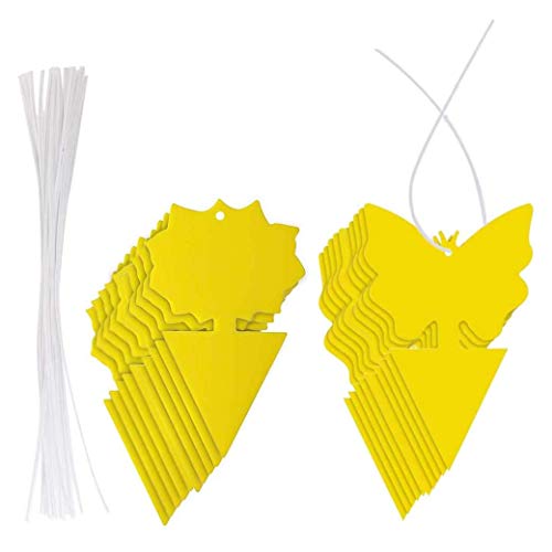Uikdjgu 20 Piezas Trampas Adhesivas, Trampa para Moscas de la Fruta y Mosquitos Trampas Adhesivas Amarillas para Insectos para Uso y Exteriores Atrapa Insectos para Moscas Blancas
