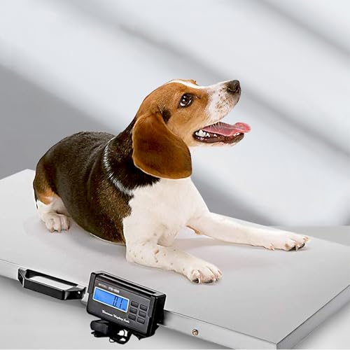 Báscula veterinaria digital TsoLay 660LB plataforma 103x53cm acero miniatura 2