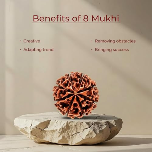 Image of Original 8 Mukhi Original Rudraksha Bead Nepali Origin Lab Certified Symbol of Lord Ganesha Removes Obstacles and Brings Wisdom Meditation, Pooja, Healing for Men & Women
