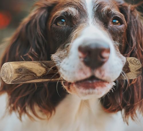 Fuzzl Kaffeeholz Kausticks 2 Stück für Kleine Hunde und Welpen