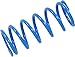 EPI Primary Clutch Spring