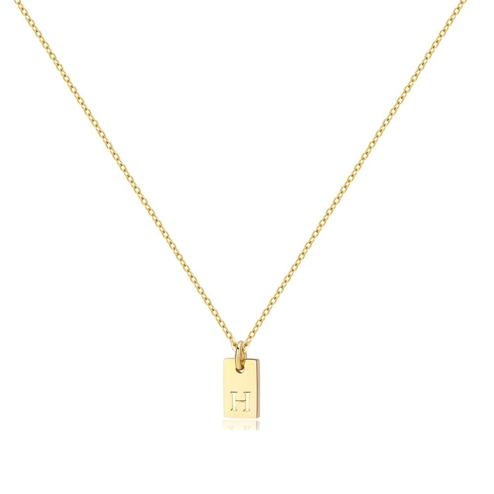 Amazon | Joxevyia 上品なイニシャルタグネックレス 女性用 14K