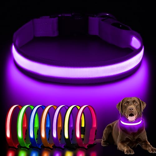 AOZOOM Light up Dog Collar, Rechargeable LED Dog Collar with 3 Glowing Modes, Adjustable Reflective Dog Collar for Small Medium Large Dogs(Purple, Medium)