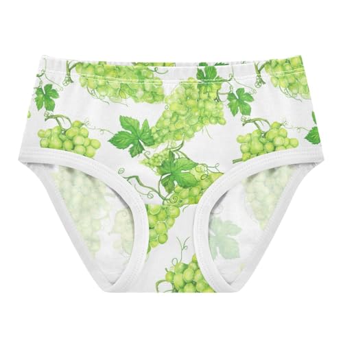 Joisal Girls Underwear Toddlers 2t Cotton Panties for Girl Aesthetic Undies Kids Briefs Watercolor Green Grapes White