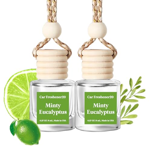 Car Air Freshener Hanging,Cute Air Diffuser for Car, Long Lasting Car Air Fresheners, Car Fresheners for Women, Made in USA (2 Pack) Amber & Vanilla