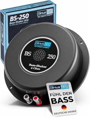 14019 BS 250 Noise Generator 4 Ohm, Black
