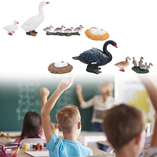 ALKqiang Ente Tier Lebensdauer Zyklus Bauernhof Tiere Figuren Lebensdauer Zyklus ABS Material Hand Malerei Tier Figuren… – Bild 5