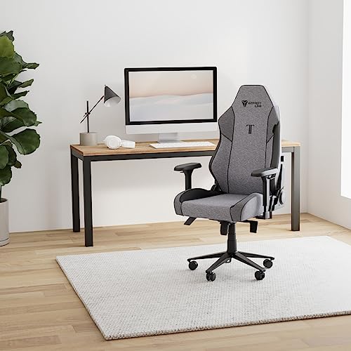 Secretlab Titan Evo chair
