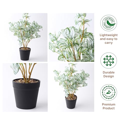 Image of Habere India-All the Cultures Fabricating India Arrowhead Artificial Plant with Pot for Home Decor | Small Fake Flower Plants for Living Room & Indoor Decoration (Design04: L9 x W9 x H40 cm)