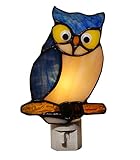 DUONAYU Stained Glass owl Night Light,studyroom Night Light，Suitable for Living Room、Corridor、Bedroom.Plug into Wall.DYM9008