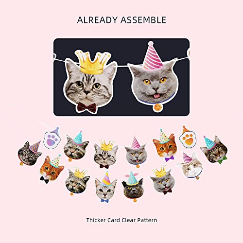 Cat Party Supplies Decorations Set Cat Face Party Banner Meow Letter Balloon Banners And Cat Face Hanging Swirl Cat Party Supplies For Cat Lover Kids Cat Theme Birthday Party Pet Adoption Party #TOP3