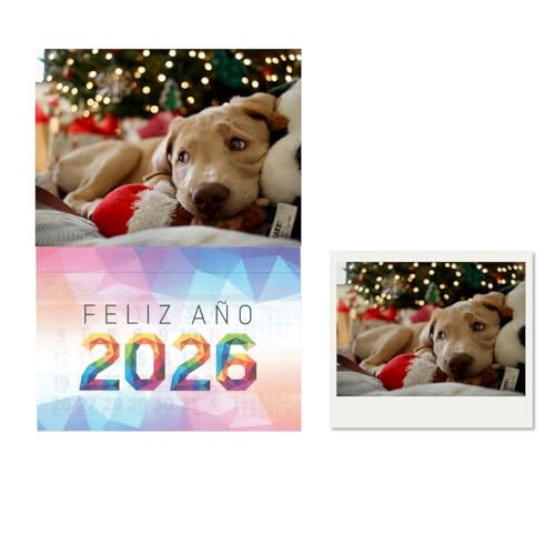 GRUPO DARIK Calendario Magnético 2025-2026 para Nevera - Papel fotografico Planificadores Mensuales con Imán Extra Fuerte para Refrigerador, Organizadores de Cocina y Hogar