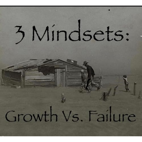3 Mindsets: Do You Have the Right One?