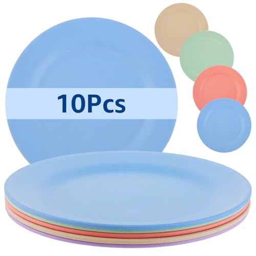 DAJAVE Juego de 10 platos grandes, 28 cm, desmontables, saludables e irrompibles, para niños y adultos, lavavajillas y microondas, seguros y saludables