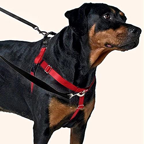 2 Hounds Design Freedom No-Pull Dog Harness Training Package With Leash, Medium (1" Wide), Black #TOP7